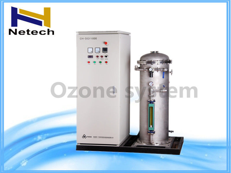 250g 500g Oxygen Source Industrial Ozone Generator Customization