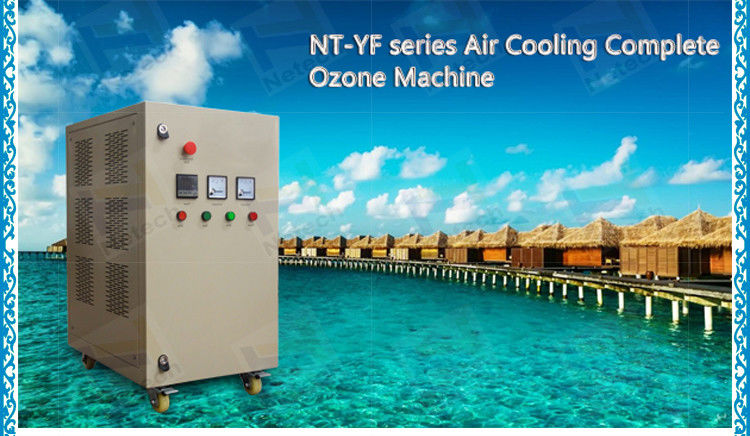 Air Compressor Ozone Generator For Swimming Pool , cleanor PSA Oxygen Plant