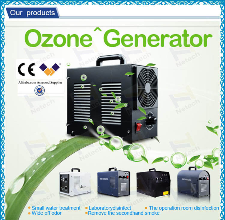 Fruits Treatment Room Ozone Generator 3g 5g , portable ozone machine