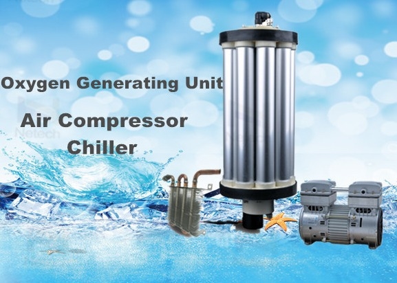 3L - 15L Oxygen Molecular Sieve Oxygen Concentrator Parts With Air compressors