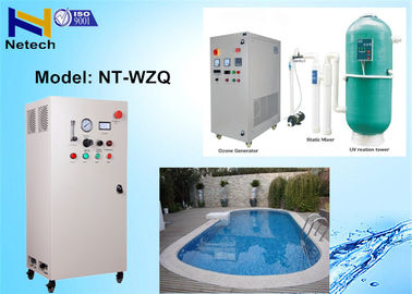 10g - 60g 110V Swimming Pool Ozone Generator Feed Oxygen Ozone Water cleanr