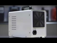 Durable Commercial Ozone Generator Anti Bacteria Viruses 80W 10LPM